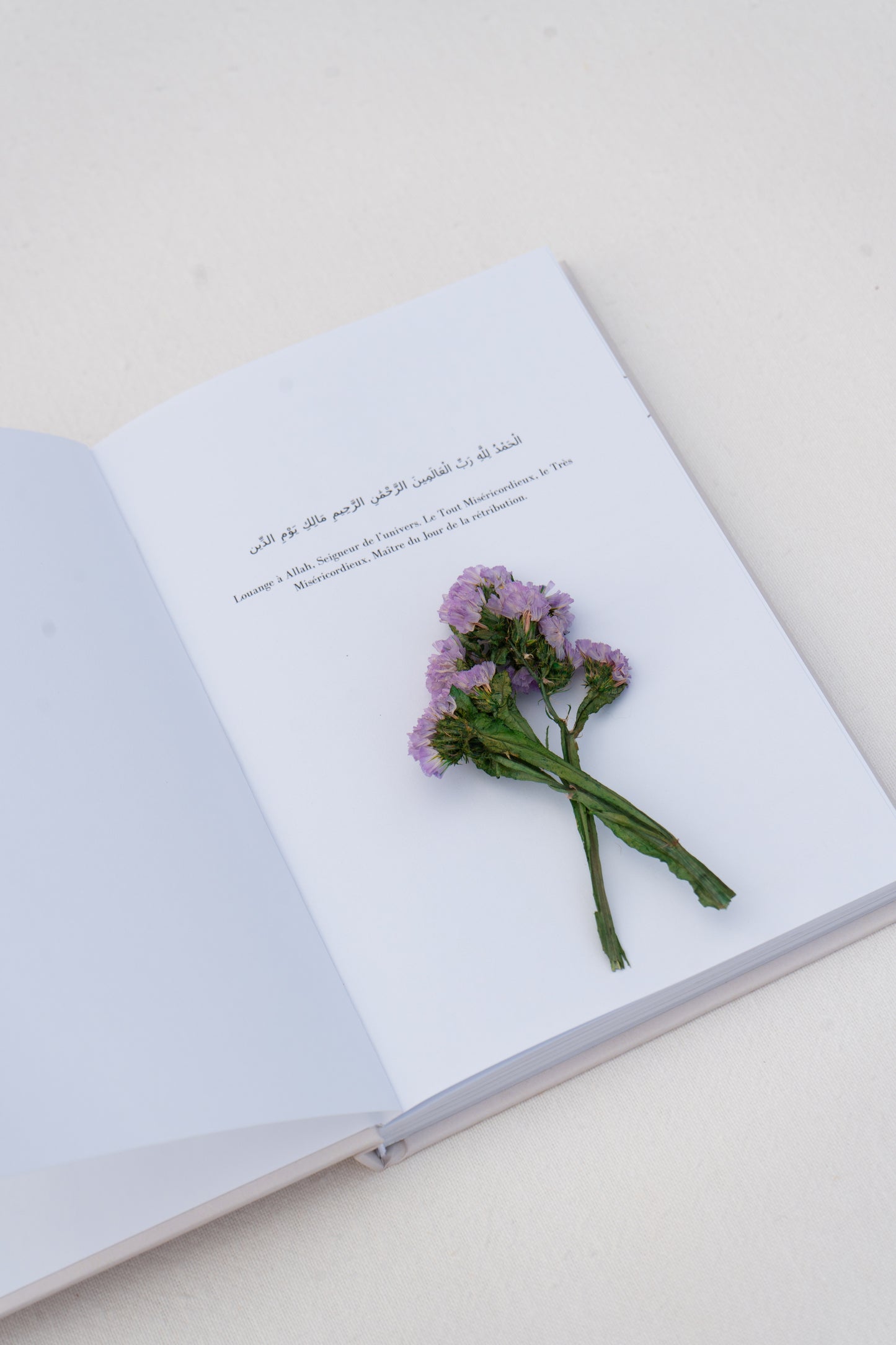 The Chapter of This Life